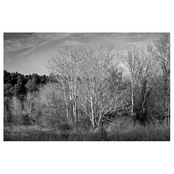 PHOTO84, CLUB, 84 , LUBERON